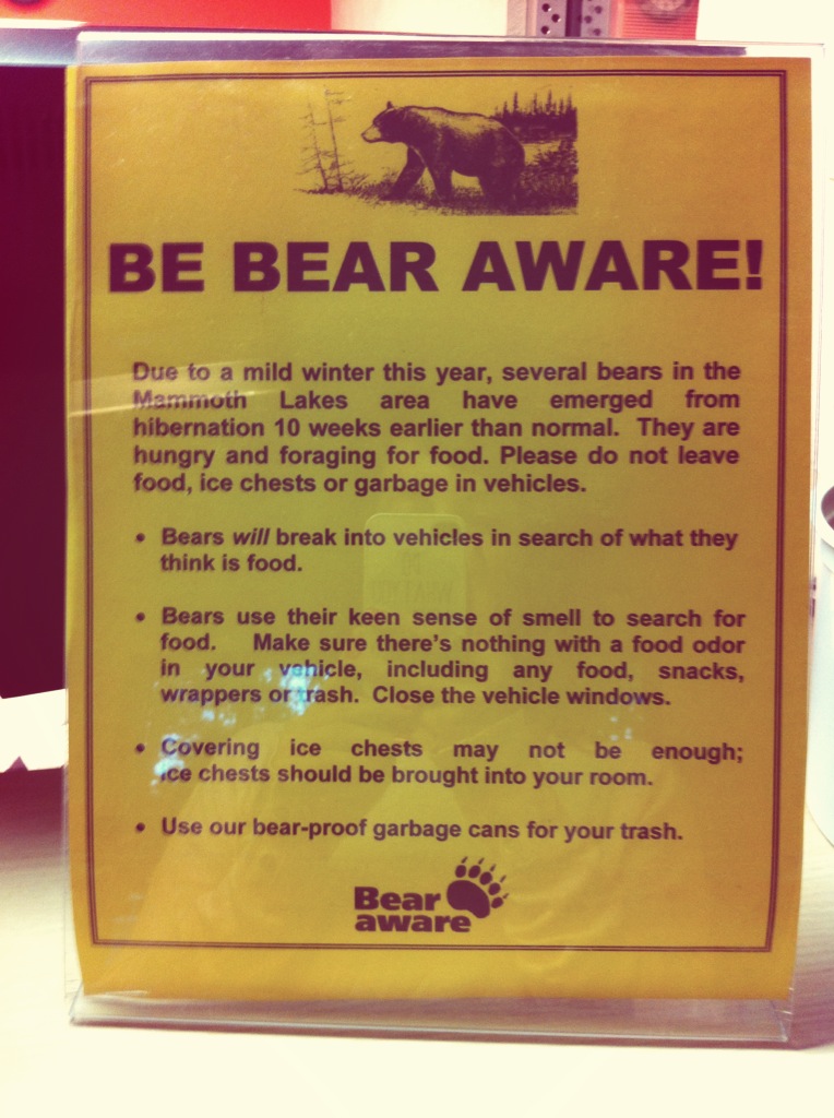Cuidado con los osos